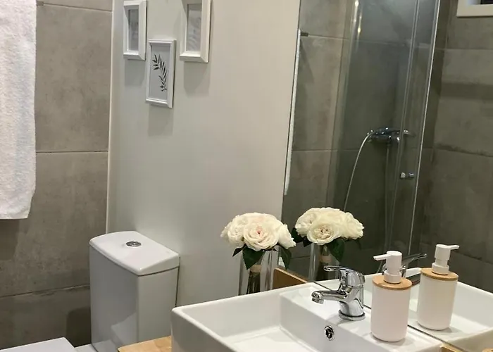 Ilha D'ouro House S. Vitor *